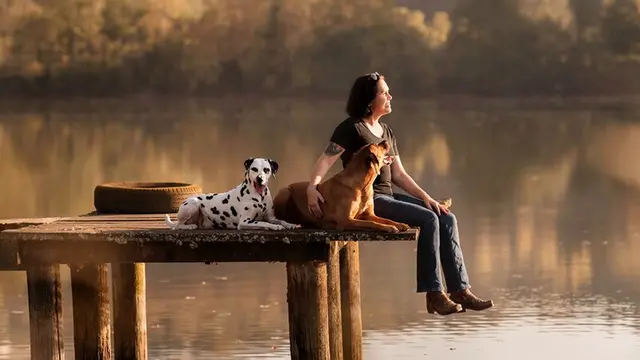 GOODOGS – Ihr Coach für alle Felle unterstützt Hundebesitzer mit Ursachenanalyse und alltagsorientiertem Coaching in der Steiermark. | Foto: Tanja Lackner