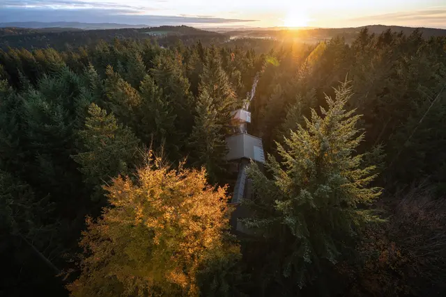 In der WaldEntdeckerWelt in Kopfing findet am 20. Juni erstmals ein "Waldtag" statt. | Foto: Baumkronenweg