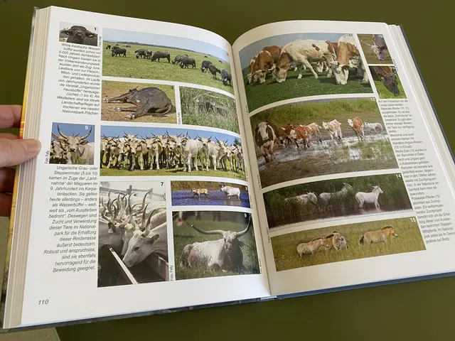 Herausforderungen im Nationalpark | Foto: Gesa Buzanich