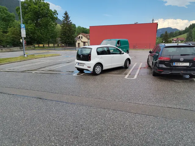 Der Kunstparker verärgerte einen anderen Supermarkt-Kunden. | Foto: Name d. Fotografen d. Red. bekannt