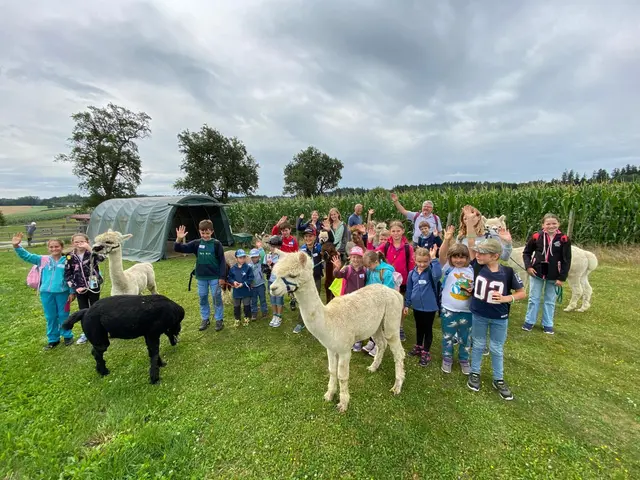 Auf dem Programm in St. Pantaleon-Erla stehen Aktionen wie eine Alpaka-Wanderung, Pizza backen, ein Tag bei der Musik, Minigolf beim Askö Enns und vieles mehr.  | Foto: SPÖ St. Pantaleon-Erla
