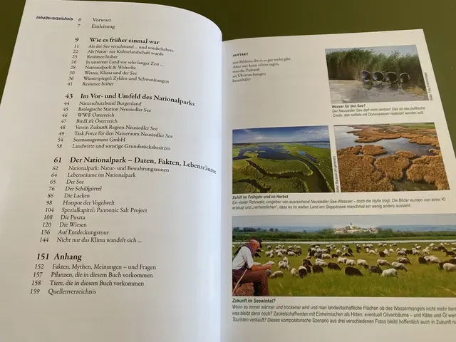 Das Buch beschäftigt sich mit vielen Probleme der letzten Jahre | Foto: Gesa Buzanich