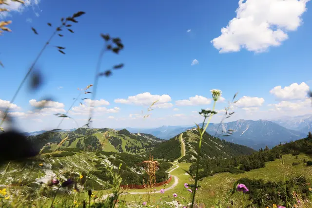 Das Göstlinger Hochkar wird zum ganzjährigen Eldorado für alle sportlichen Gäste umfunktioniert werden. | Foto: Mostviertel Tourismus
