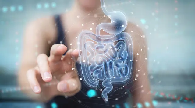 Expertentipps für Darmgesundheit in Steyr