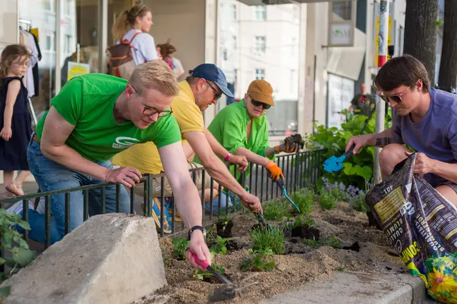 Foto: Grüne Wieden