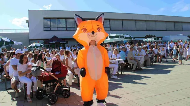 Foto: N#MS Markt Allhau