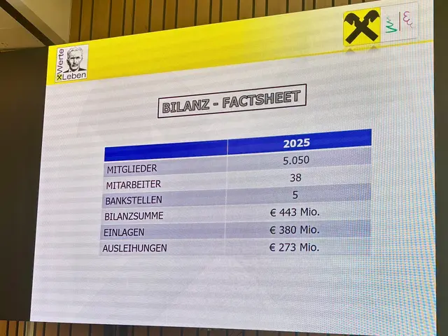 Obmann Herbert Hofer präsentierte die Bilanzzahlen des Geschäftsjahres 2025. | Foto: Markus Kahrer