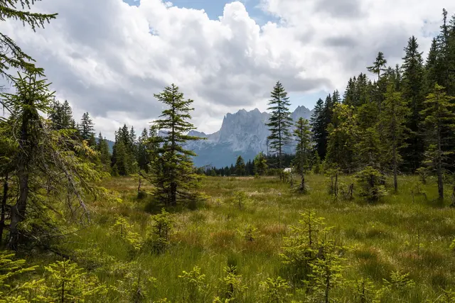 Moorlandschaft "Torfstube" in Gosau. | Foto: oebf/Christina Rittmannsperger