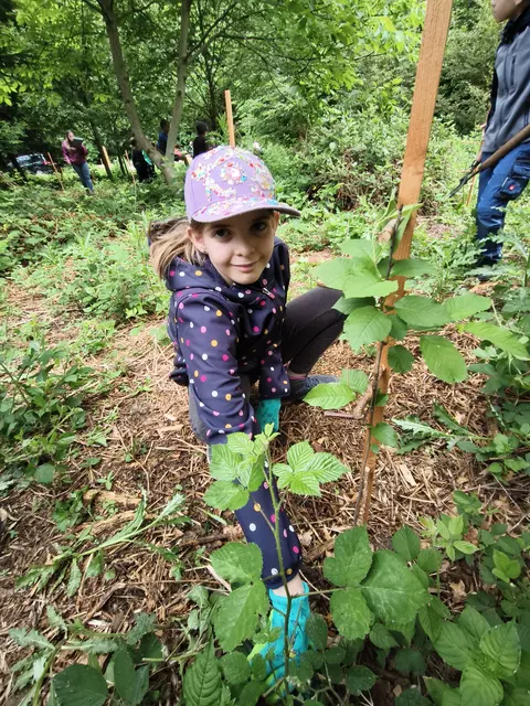 Die Kinder der Volksschule Düns dürfen sich über ein ganz besonderes Waldprojekt freuen. Seit Dienstag ist jedes Kind Pate eines eigenen Baumes. 
 | Foto: Günter Dünser