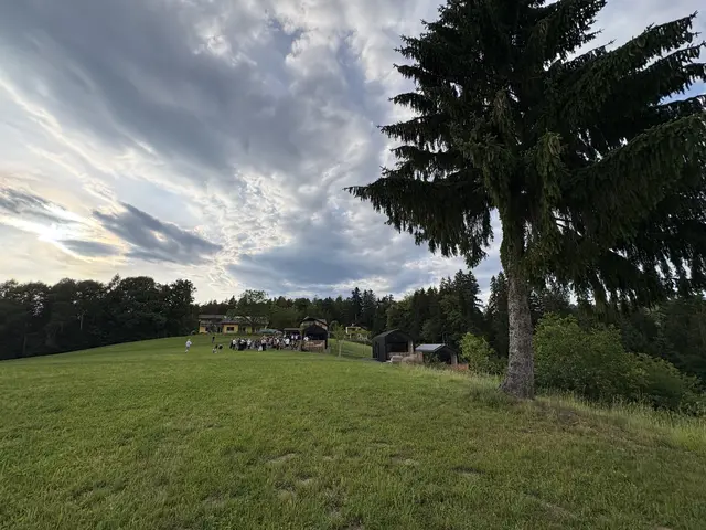 Foto: MeinBezirk/Susanne Veronik