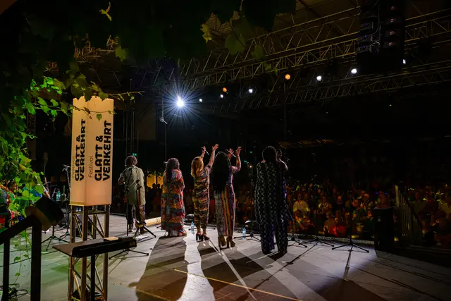 Glatt&amp;Verkehrt feiert 2026 sein 30-jähriges Bestehen und bleibt eines der wichtigsten Weltmusikfestivals Österreichs.  | Foto: Sascha Osaka