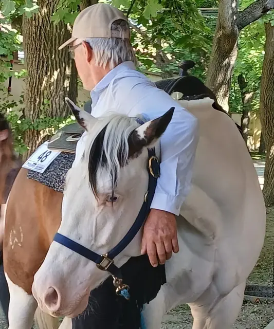 Egon Wolf mit seinem Paint-Wallach E Gun. | Foto: Edith Buchberger