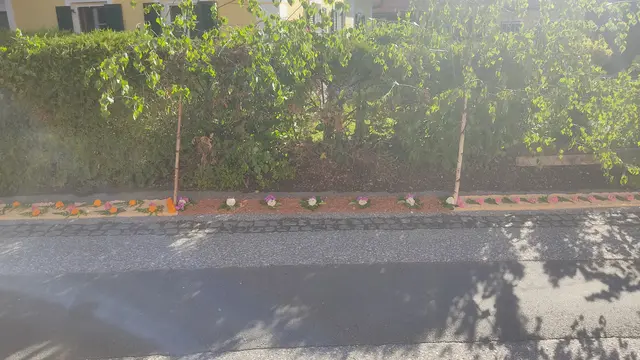 Foto: Günther Koch