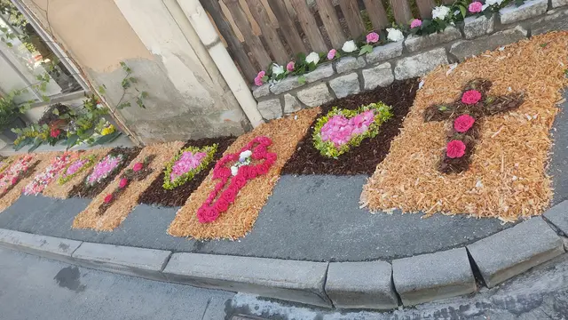 Foto: Günther Koch