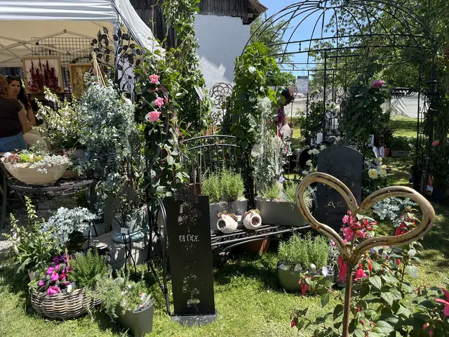 Vielfältige Blumenpracht, auch für Balkon und Terrasse, gibt es bei der Gartenschau zu sehen | Foto: Brigitte Gady
