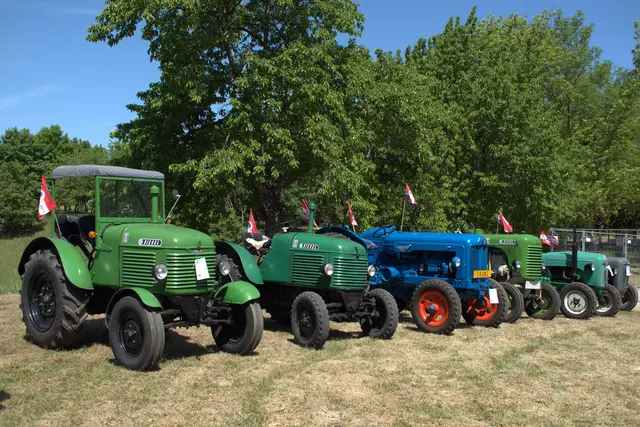 Die Besucher waren von den Oldtimern beeindruckt. | Foto: Oldtimerclub