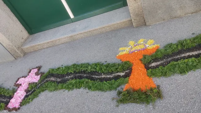 Foto: Günther Koch