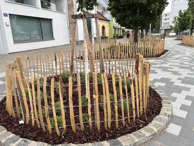 Foto: Luca Arztmann/MeinBezirk