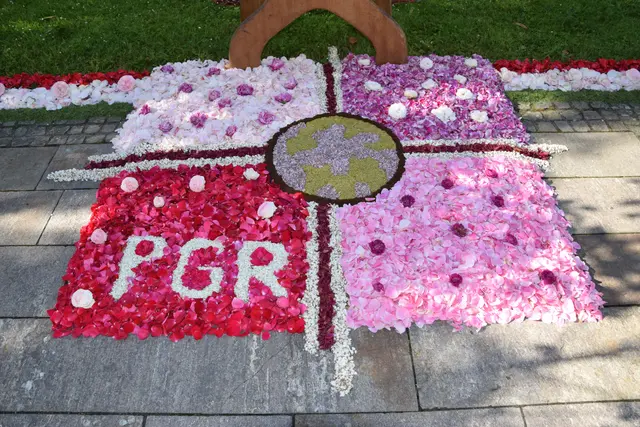Blumenteppich vom PGR  am Kirchplatz | Foto: MeinBezirk/Josef Strohmeier