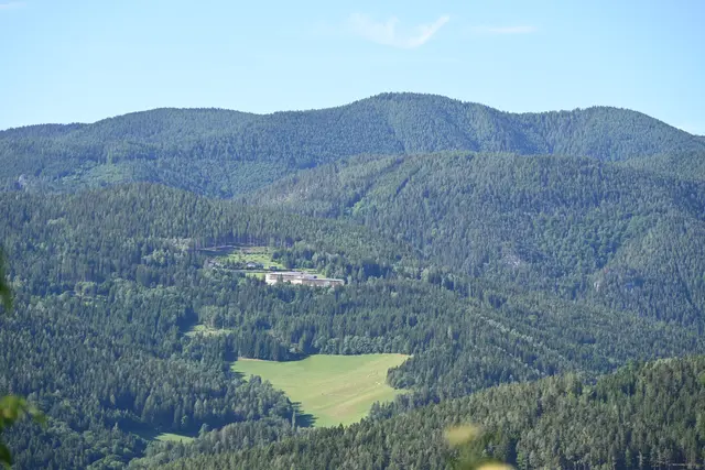 Reha Raxblick