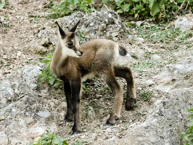 Foto: Robert Duben