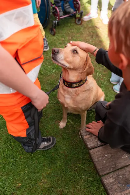 Die Kinder durften die Hunde streicheln und mit Leckerli füttern.  | Foto: Johanniter Tirol