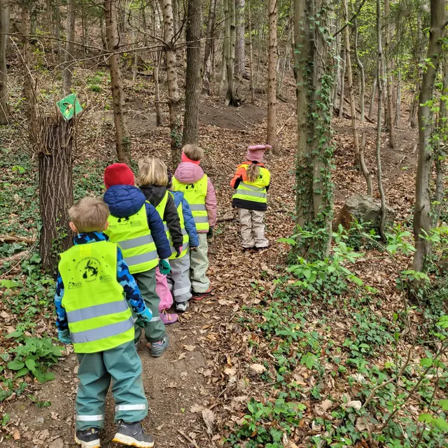 Mixnitzer Kindergarten säuberte eigenen Wald