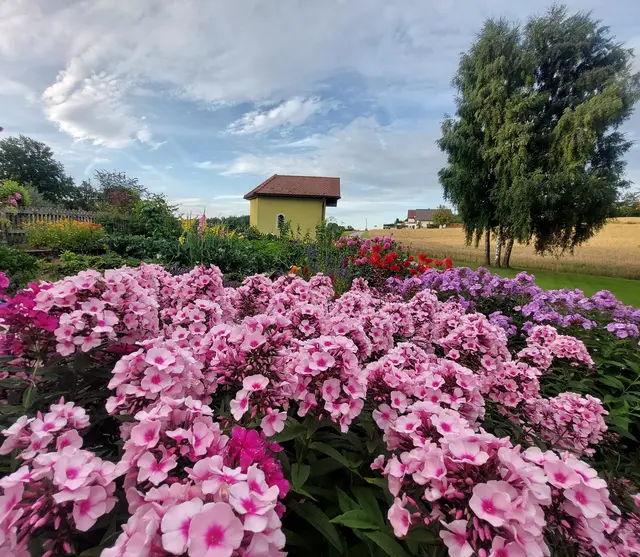 Eine Einreichung aus dem Vorjahr aus Niederneustift.
 | Foto: privat