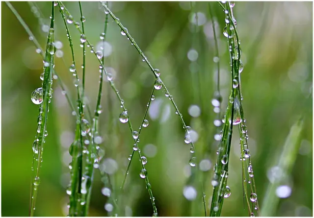 Endlich etwas Regen für die Natur in Salzburg. 