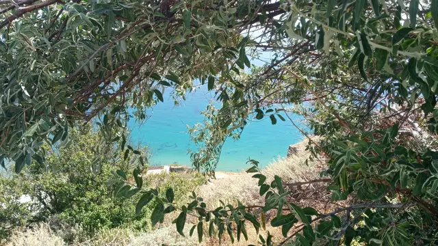 Foto: Barbara Praschl