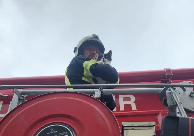 Foto: Feuerwehr Mödling