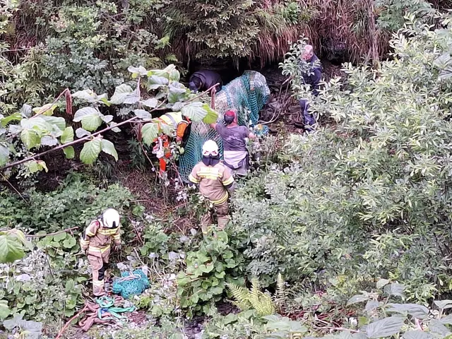 „Tierrettung - Kälber in Notlage“ lautete der Einsatzbefehl an die Feuerwehr Viehhofen am Abend des dritten Juni 2026. | Foto: Freiwillige Feuerwehr Viehhofen