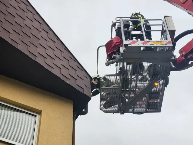 Foto: Feuerwehr Mödling
