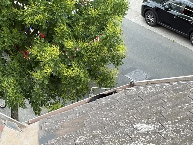 Foto: Feuerwehr Mödling