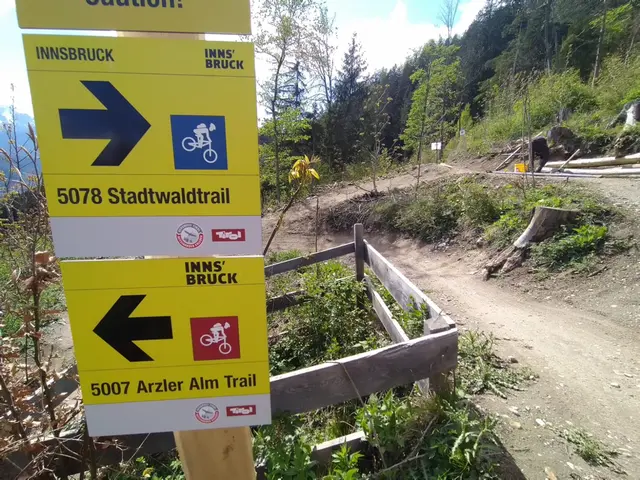 Viele illegale Trails entstehen aus Mangel an schwierigen Trails. | Foto: IKM