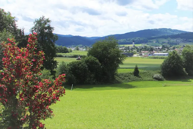 ...Blick auf den Attergau