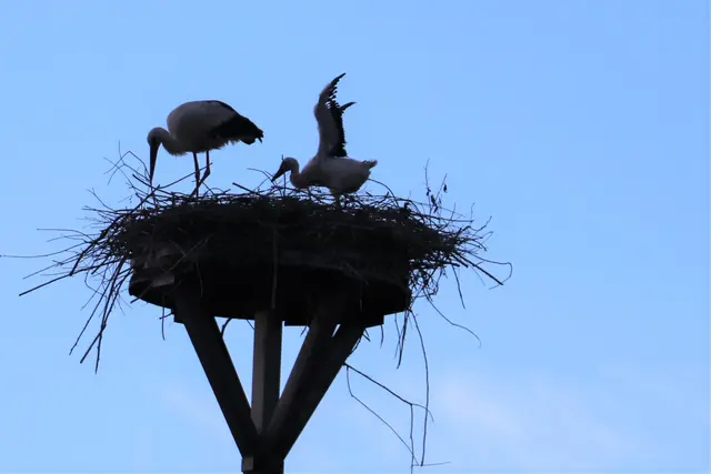 ...erste Flugversuche