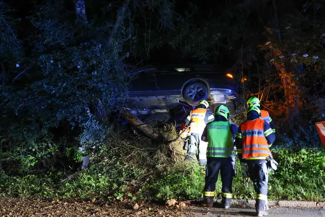 Auto steckte regelrecht in Waldböschung