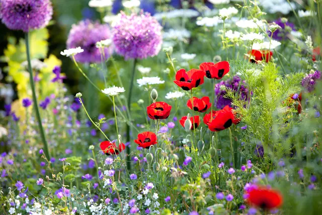Vier blühende Paradiese bei der Bad Zeller Gartenroas erkunden