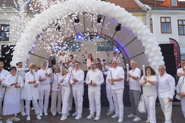 Nachdem Eisenstadt in Weiß offiziell eröffnet wurde, fing die Party erst so richtig an. | Foto: Jennifer Flechl / MeinBezirk