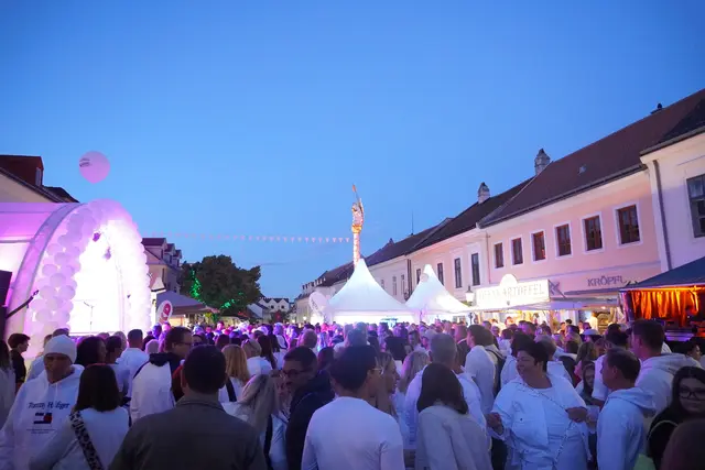 Foto: Jennifer Flechl / MeinBezirk