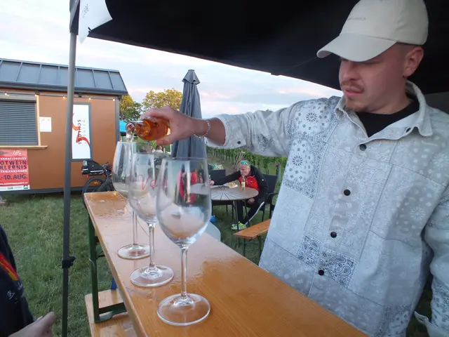 Nicht nur Weine, sondern auch die neue Kreation "Pfirsichspritzer" vom Weingut Schlögl gab es zum Verkosten.  | Foto: Alena Kulman