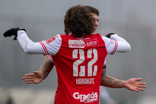 Das Trikot mit der Nummer 22 stand bei den GAK-Fans  auf der Wunschliste ganz oben.  | Foto: GEPA Pictures