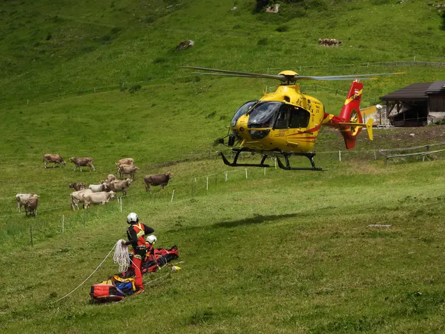 76-Jähriger stürzt 80 Meter ab, Notarzthubschrauber im Einsa