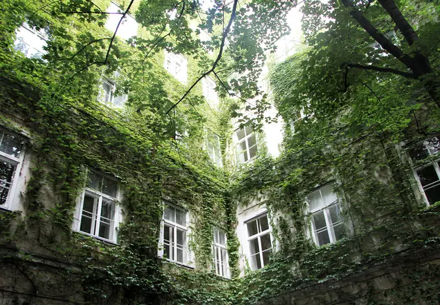 Interessierte finden auch nützliche Tipps rund um Begrünung. (Symbolfoto) | Foto: Maximilian Spitzauer