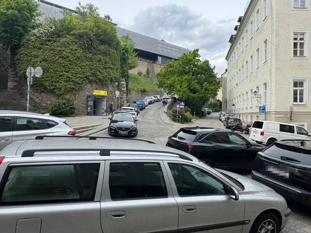 Tagsüber bietet sich am Tummelplatz überwiegend dieses Bild. | Foto: Caramel