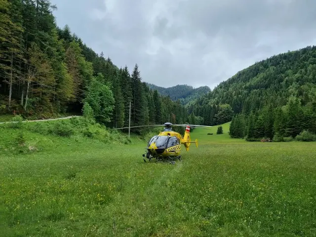 Forstarbeiter im Bärental von Baum schwer verletzt
