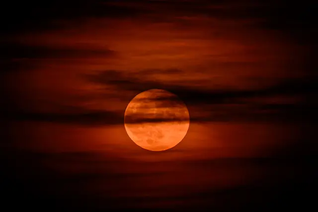 So hat der perfekte Erdbeermond vor einem Jahr ausgesehen.  | Foto: APA-Images / APA / MAX SLOVENCIK