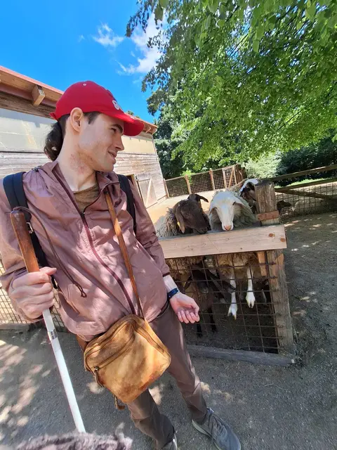 Sehr zutraulich waren die Schafe. So wie viele andere Tiere am Cobenzl dürfen sie gefüttert werden. | Foto: Elisabeth Posch