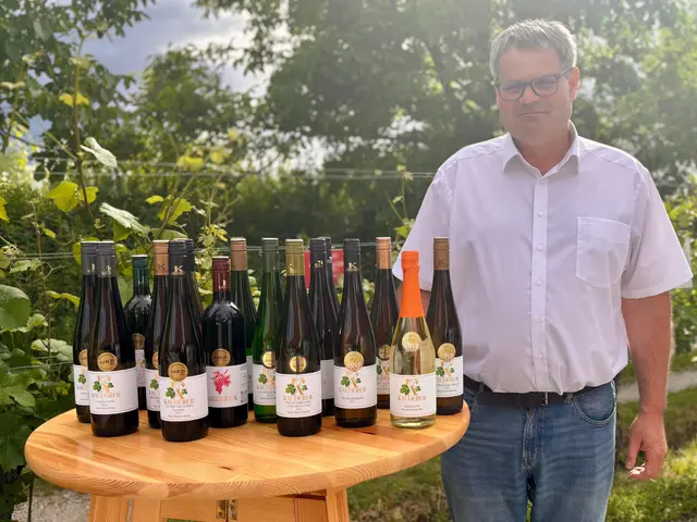 Ein Winzer auf Erfolgskurs - Stoitzendorfer räumt 
